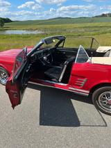 Ford Mustang Cabrio 1966 289CV sehr guter Zustand - Ford Mustang aus 1966: Cabrio