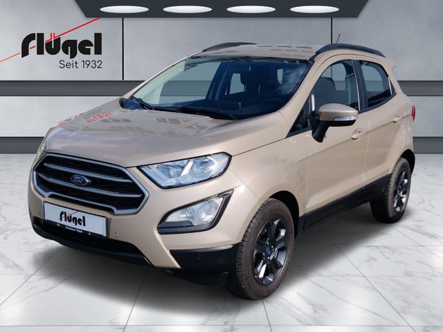 Ford EcoSport Cool&Connect-8-fach bereift