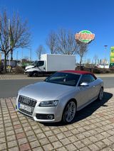 Audi S5 3.0 TFSI S tronic quattro Cabriolet - - Audi S5 aus 2010