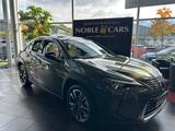 Lexus UX 250 h Luxury PANO 360° - Lexus UX SUV