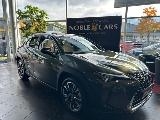 Lexus UX 250 h Luxury PANO 360°