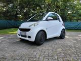 Smart 451 cdi Sonderlackierung Sparsam 3,5... - Smart 451 mit Diesel-Antrieb