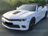 Chevrolet Camaro V8 Cabrio EU-Model  - Chevrolet: Eu
