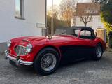 Austin Healey 3000 MK1 komplett restauriert  - Austin Healey: Mk1