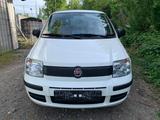 Fiat Panda 1.2 8V Classic - Fiat Panda in Mainz