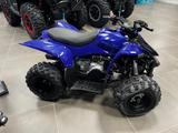 Yamaha YFZ 50 Kinder Quad ohne Zulassung - YAMAHA YFZ