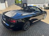 Audi A5 3.0 TDI S tronic quattro Cabriolet S-line - Audi A5 mit Diesel-Antrieb: Cabrio, 3.0