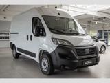 Fiat Ducato Hochr.-Kasten 35 L2H2 verblecht AHK RückK - Fiat Ducato in Dortmund