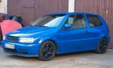 Volkswagen VW Polo 6n1 1,6 75 PS AEE TÜV 06.27 GTI Au... - Volkswagen Polo: 6n GTI