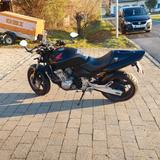 Honda CB 600 F Hornet - Offers