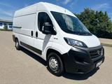 Fiat Ducato L2 H2  2.3 160 - gebrauchte Fiat Ducato aus dem Jahr 2019