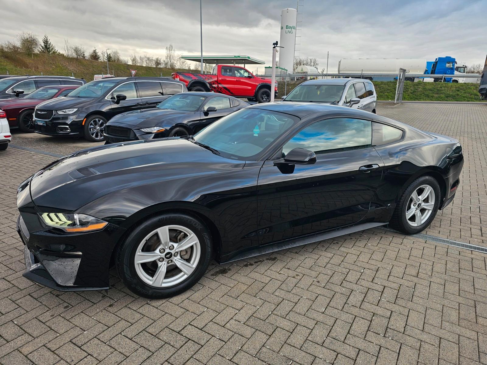 Ford Mustang 2,3 EcoBoost.Automatik.Unfallfrei.