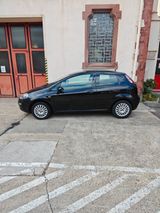 Fiat Punto 1.2 8V POP POP - Fiat Punto in Wiesbaden