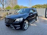 Mercedes-Benz ML 350 BlueTEC 4MATIC - - Mercedes-Benz ML 350 Gebrauchtwagen in Bremen