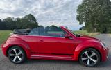 Volkswagen VW Beetle Cabriolet 2.0 TDI DSG | Automatik - Volkswagen Beetle: TDI