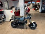 Honda DAX 125 ST 2025 Cadet Gray *Tageszulassung 11-25 - HONDA DAX 125