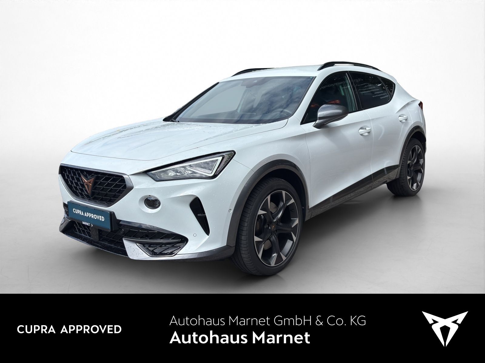 Cupra Formentor VZ 2.0 TSI 4Drive DSG Navi AHK DCC Vol foto 1