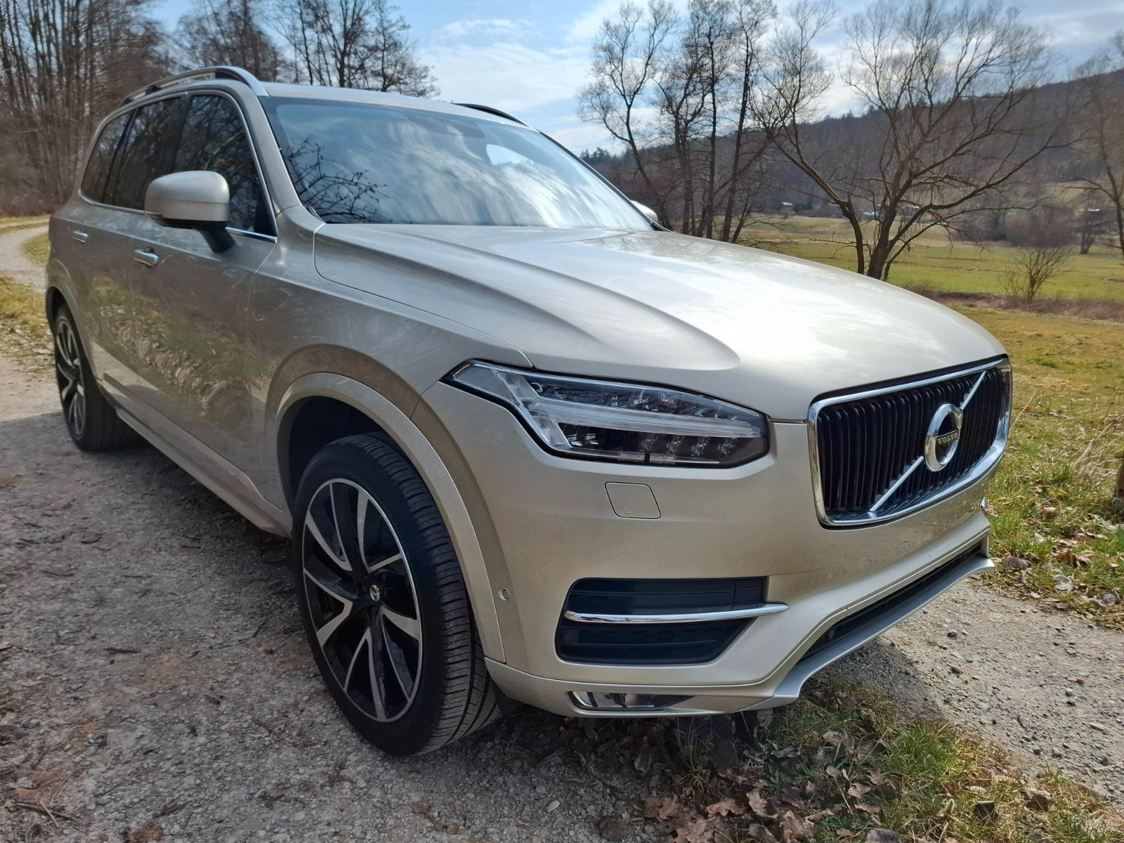 Volvo XC 90 XC90 Momentum AWD Kamera 360 Leder Automat foto 3