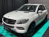 Mercedes-Benz ML 250 ML ML 250 CDI BlueTec LED/SHZ/AHK/21-ZOLL - Mercedes ML 250 SUV