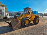 Hanomag 33 D //forks / Bucket// - Hanomag Raupe/Dozer