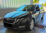 Skoda Octavia Combi Premium Edition *KeyLess*Leder*1Hd - Skoda Octavia Gebrauchtwagen in Kassel