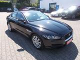 Jaguar XE Prestige, Leder Navi Kamera zus.Winterreifen - Jaguar XE Benziner Gebrauchtwagen