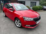 Skoda Fabia 1.0 MPI Cool Plus - Skoda Fabia Gebrauchtwagen in Hamburg