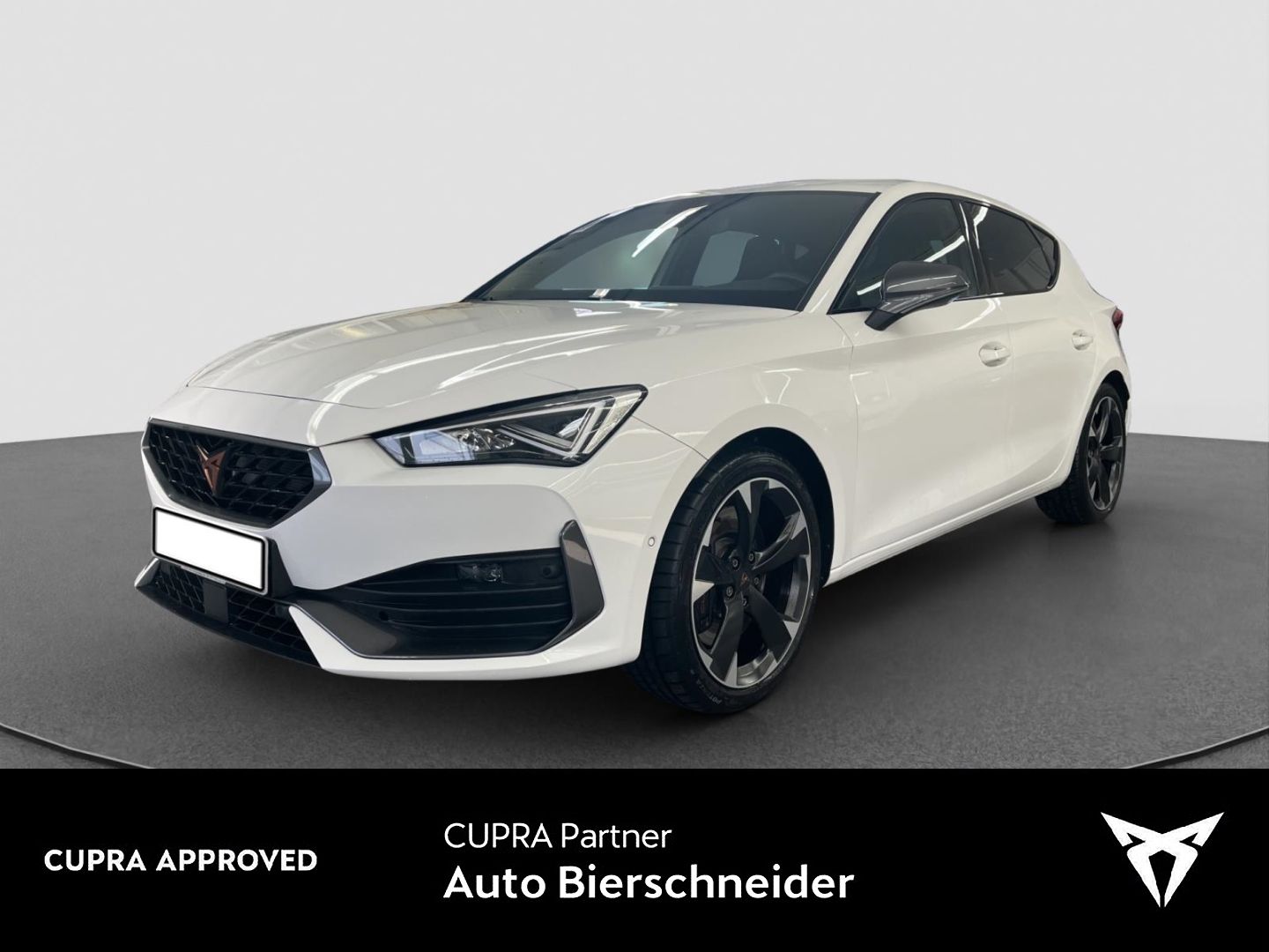 Cupra Leon 2.0 TSI DSG VZ BEATS NAVI REAR VIEW SHZ