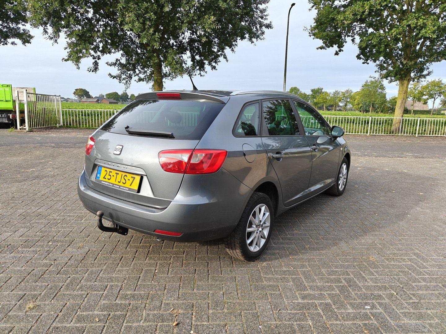 Seat Ibiza 2012 — вигляд ззаду