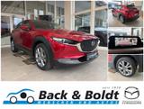 Mazda Cx-30 Selection 2.0i BOSE+360GRAD+18+VOLL LED - Mazda CX-30 Gebrauchtwagen in Hamburg