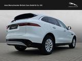 Jaguar F-Pace D200 - gebrauchte Jaguar SUV & Geländewagen