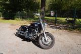 Yamaha XVS 1100 Dragstar  Thunderbike Umbau Bobber MCJ - YAMAHA 1100