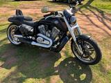 Harley-Davidson V Rod Muscel - HARLEY-DAVIDSON V ROD