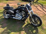 Harley-Davidson V Rod Muscel - Offers matching your search criteria