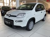 Fiat Panda 1,0 Hybrid City Paket Klimaanlage - Fiat Panda Tageszulassungen