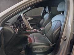 Fahrzeugabbildung Audi RS4 Avant 2.9 TFSI quattro (SZ-LÜFT/B&O/ACC/NARD