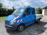 Mercedes-Benz Sprinter313 CDI DoKa Pritsche AHK 7-Sitzer 1.Hd. - Mercedes-Benz Sprinter 313 doka