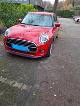 MINI Cooper Cooper - MINI Cooper in Herne