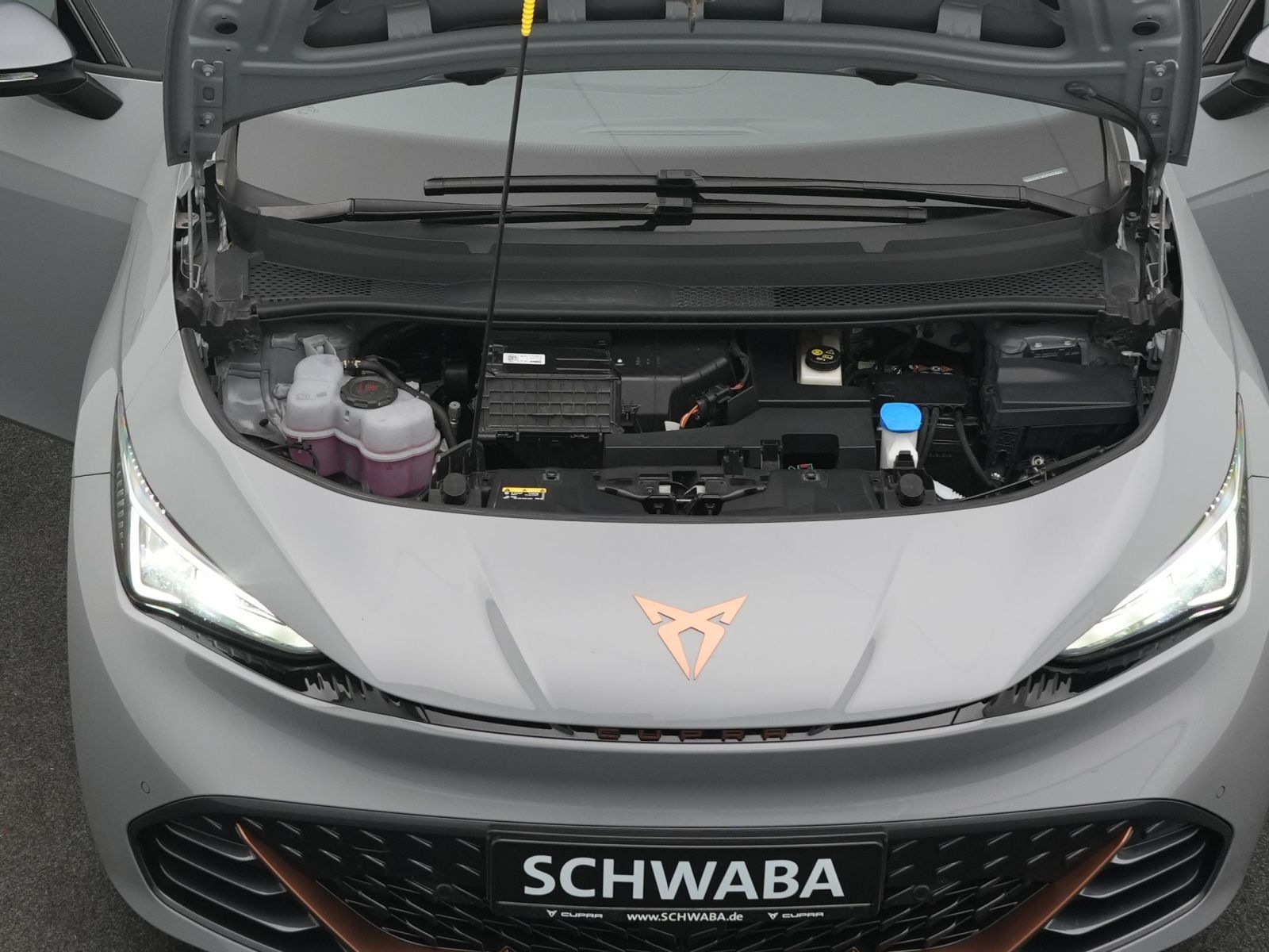 Cupra Born - Bild 28