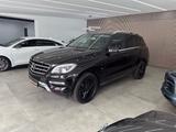 Mercedes-Benz ML 250 CDI BlueTec*Leder*Bi-Xenon*El.Heckklappe* - Mercedes-Benz mit Diesel-Antrieb: Ml