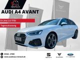 Audi A4 Avant 2.0 S-Line DSG*Pano*digit.Cockp.*Kamera - Audi A4 Tageszulassungen