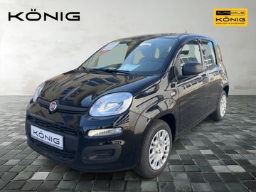 Fiat Leasingangebot: Fiat Panda MY25 1.0 Klima PDC Citypaket