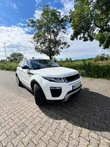 Land Rover Range Rover Evoque 2.0 TD4 132kW - weiß - Land Rover Range Rover Evoque in Frankfurt (Main)