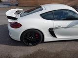 Porsche Cayman GT4 GT4 - gebrauchte Porsche Cayman aus dem Jahr 2016