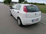 Fiat Punto  TÜV neu sparsamer Cityflitzer - : Kleinwagen, Sparsame
