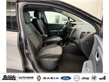 Renault Captur TCe 130 GPF COLLECTION NAVI KLIMAAUTO - Renault Captur: Collection