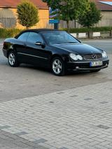 Mercedes-Benz CLK 240 ELEGANCE Elegance - Mercedes-Benz CLK 240: Elegance