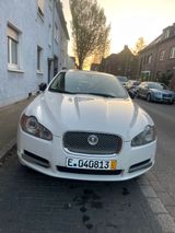 Jaguar XF 3.0 V6 Diesel S Luxury Luxury - Jaguar XF aus 2009