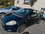 Fiat Punto 1.2  Neue TÜV - Fiat Punto von 2026