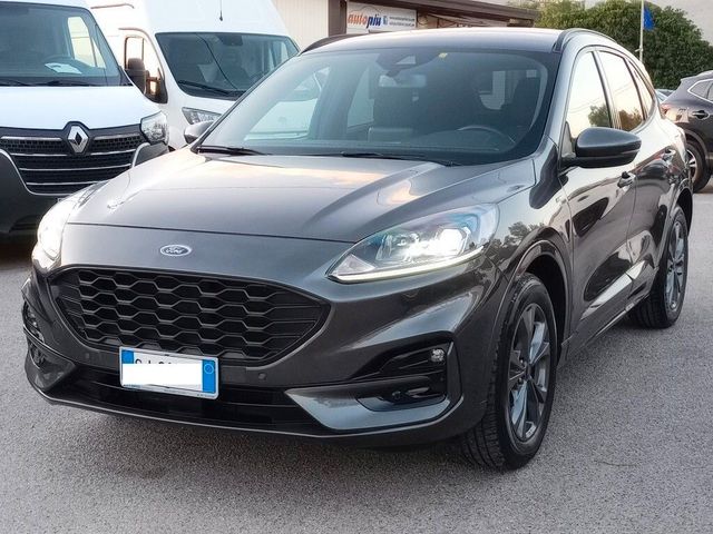 Autres Ford Kuga 1.5 EcoBlue 120 CV aut. 2WD ST-Line X 